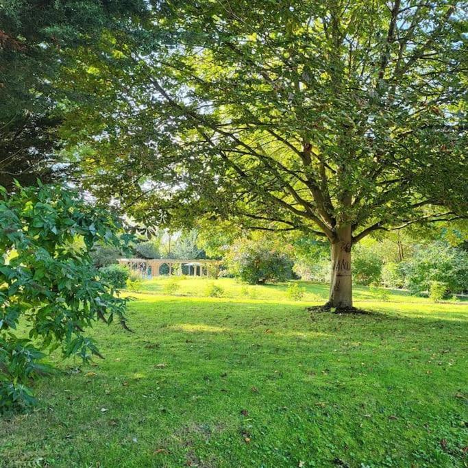 Host & Stay - Clara Cottage Bretforton Экстерьер фото